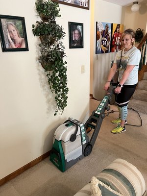 a spotless cleaning team member cleaning carpet